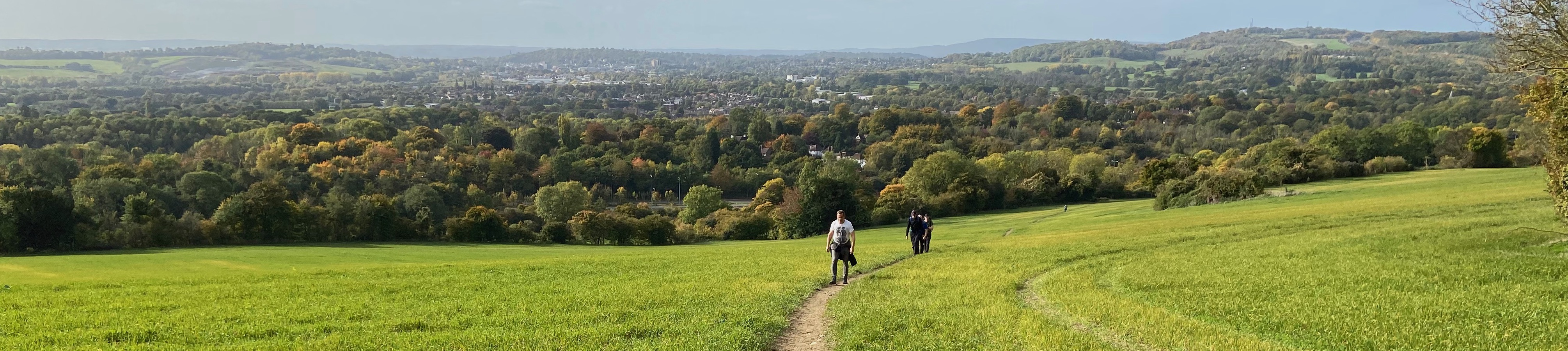North Downs Way - Farnham to Oxted feature image